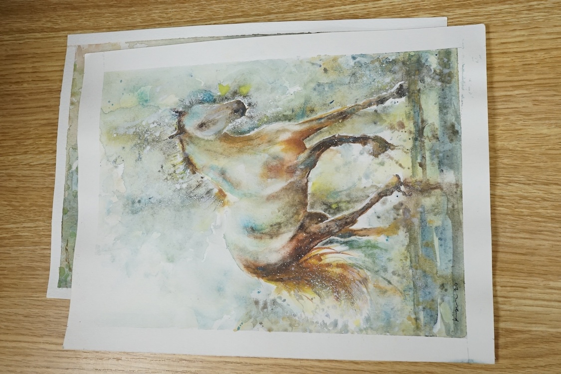 Baris Ali Kibar (Contemporary), ten watercolours on card, Wildlife to include ducks, horses, kingfisher and African wildlife, some signed, unframed, 21 x 29cm. Condition - fair
